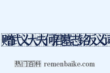 赠武义大夫何君墓志铭反义词是什么意思的图片